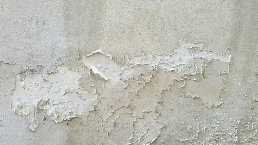 Plaster flaking and blistering on a damp interior wall