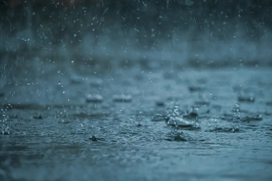 Heavy raindrops splashing on standing water