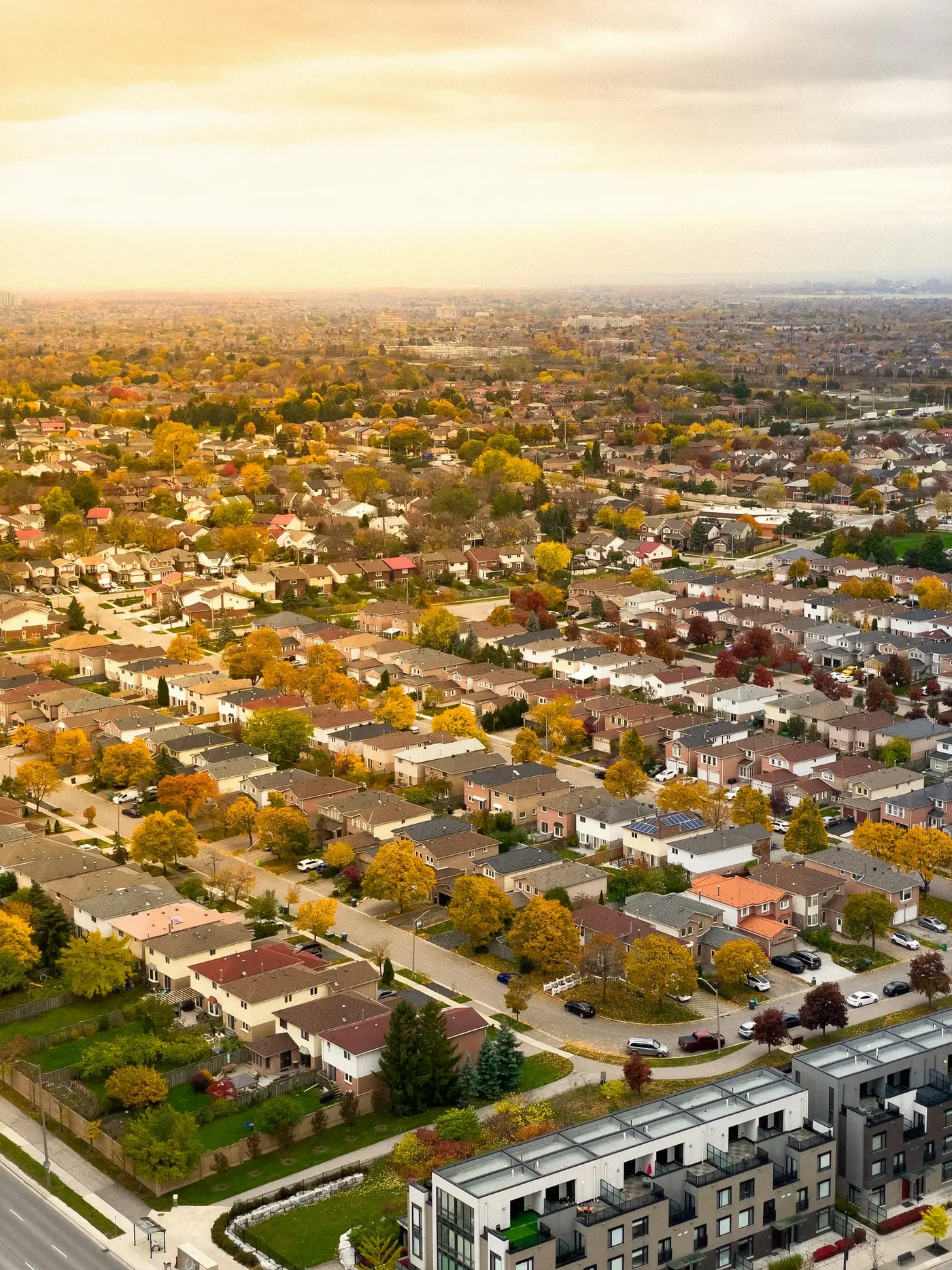 Aerial view of a suburban neighbourhood with autumn trees between rows of houses